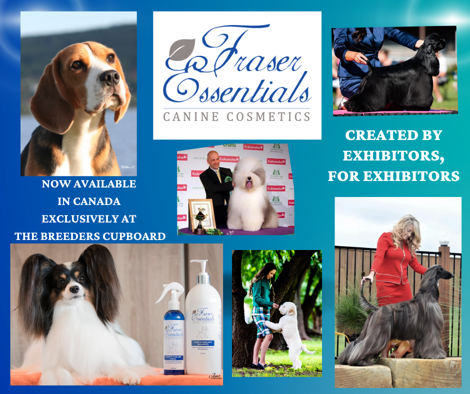 Grooming Cupboard For Dog preview