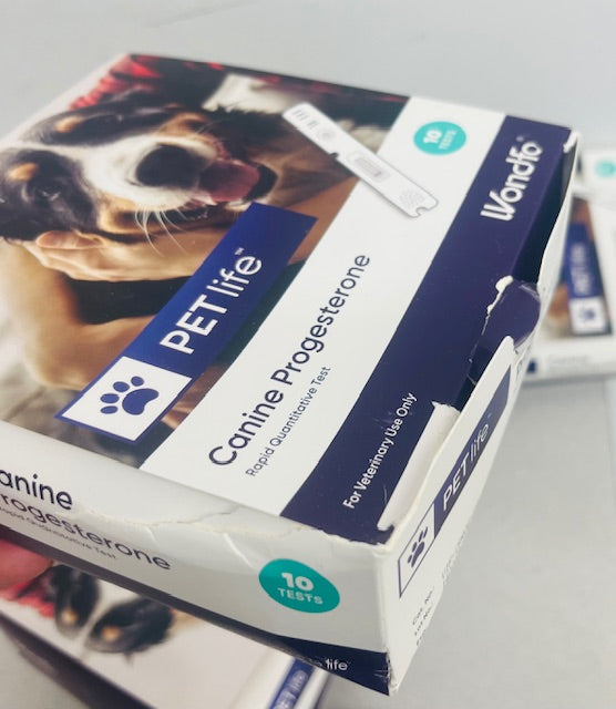 Canine progesterone test sales kit at home