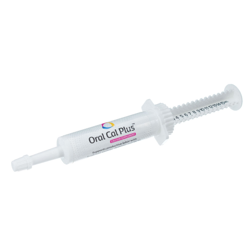 Oral cal for on sale dogs