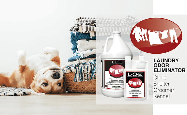 LOE Laundry Odor Eliminator Concentrate