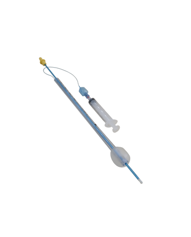 CANINE INFLATABLE ARTIFICIAL INSEMINATION CATHETERS