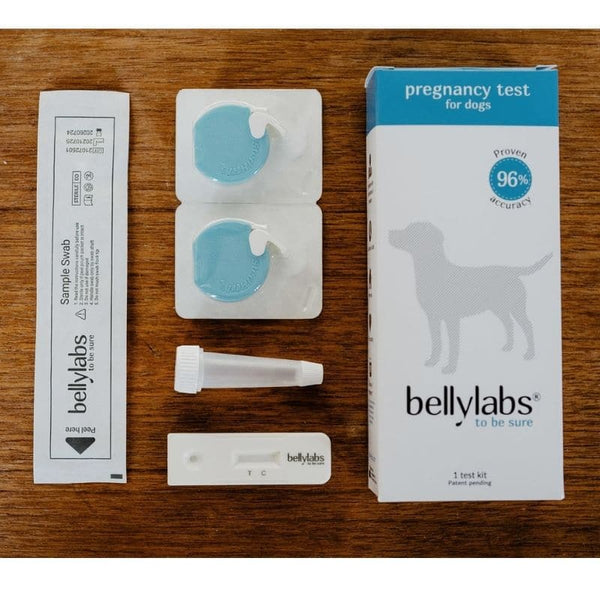 Bellylabs Pregnancy Test