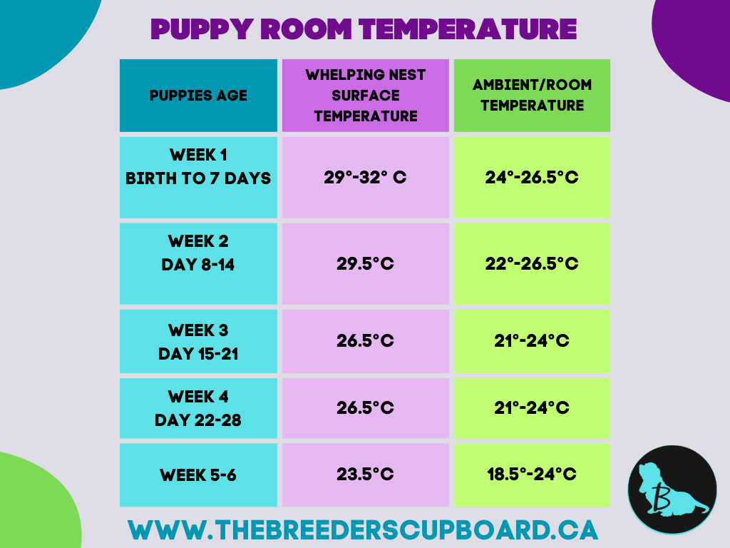 Let's Talk Temperature