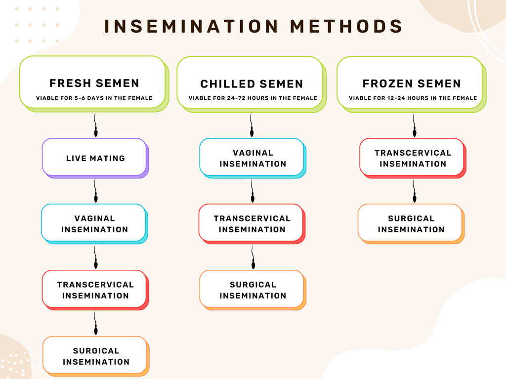 HOW should they be bred?