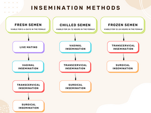 HOW should they be bred?