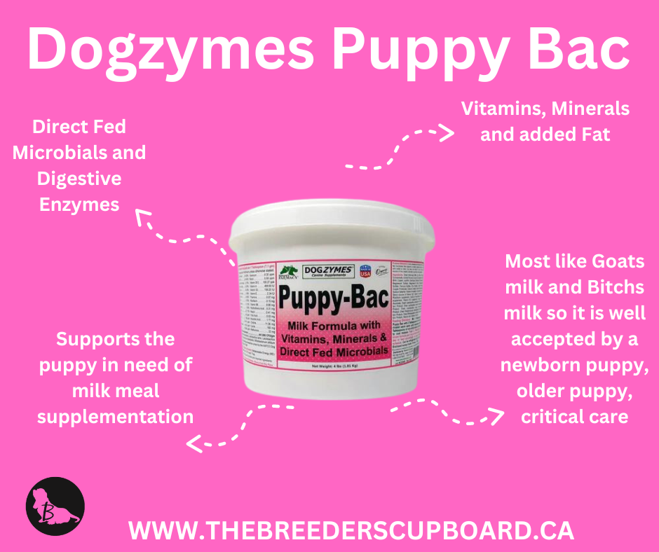 Dogzymes Puppy-Bac Lait de remplacement avec micro-organismes vivants et enzymes 441 millions d'UFC/gramme Mélange 1:4 