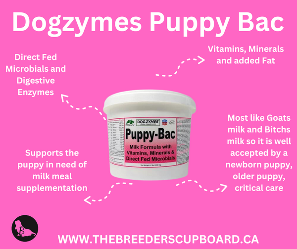 Dogzymes Puppy-Bac Milk Replacer with Live Microorganisms and Enzymes 441 Million CFU/gram Mix 1:4
