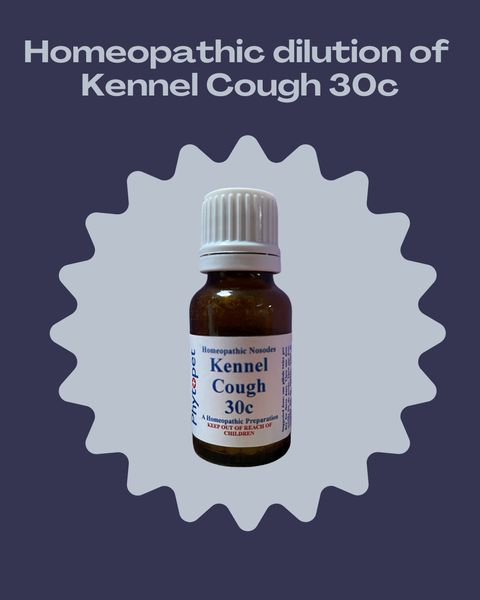 Homepahtic Kennel Cough Drops