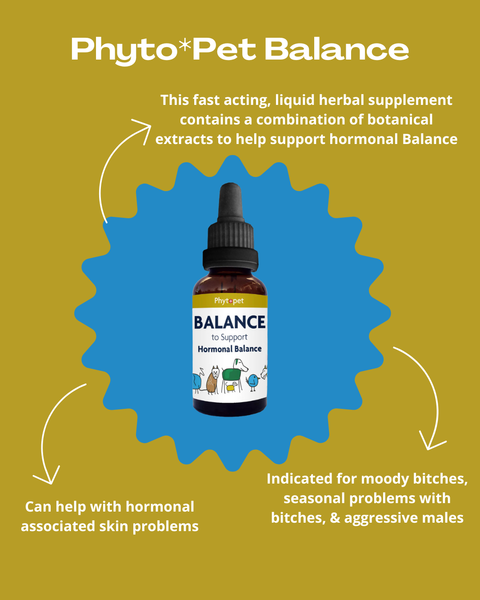 Phyto*Pet Balance