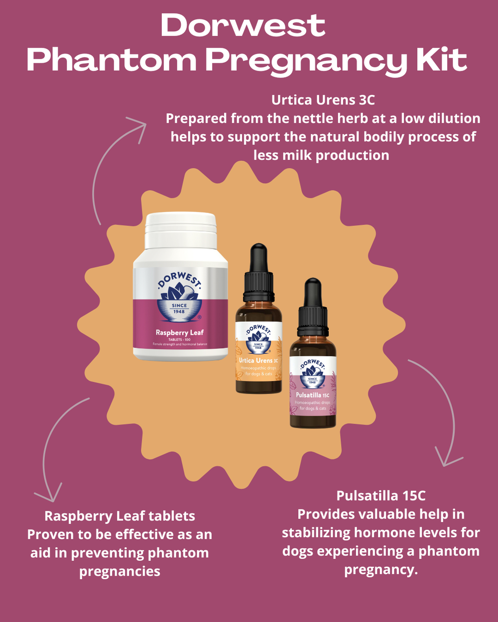 Dorwest Phantom Pregnancy Kit