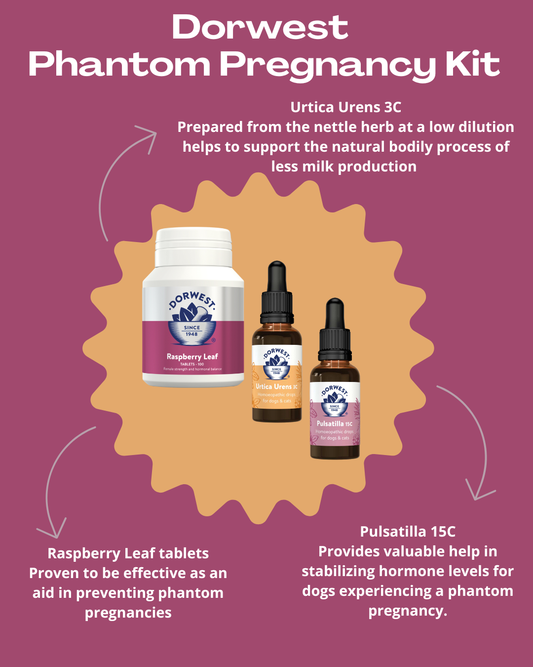 Dorwest Phantom Pregnancy Kit