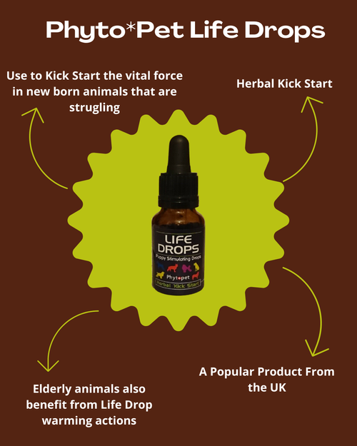 Phyto*Pet Life Drops