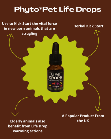 Phyto*Pet Life Drops