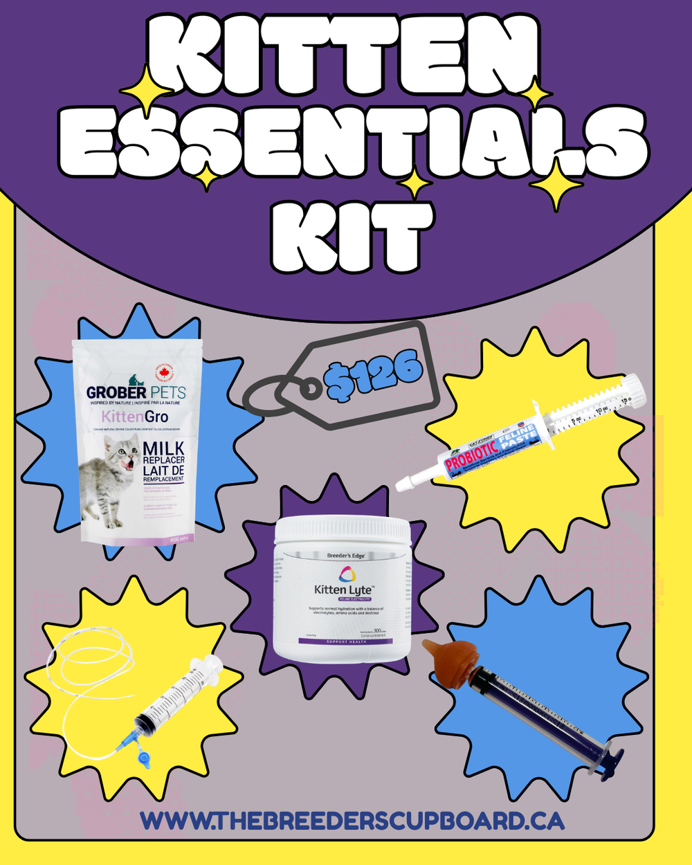 Kitten Essentials