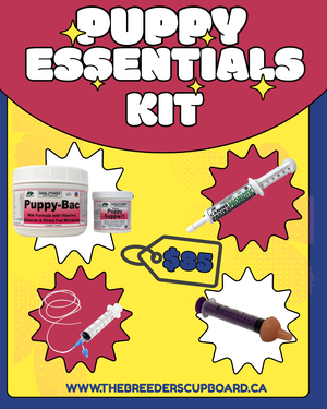 PUPPY ESSENTIALS KIT