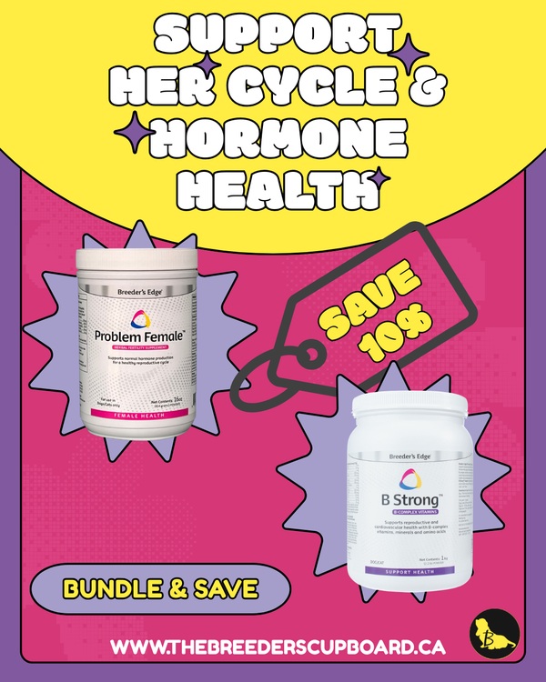 Support HER Hormones & Cycle