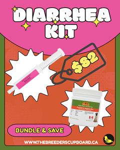 Diarrhea Bundle