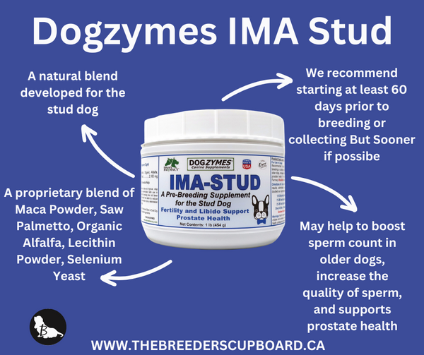 Dogzymes Ima Stud Mélange botanique - Fertilité - Sperme