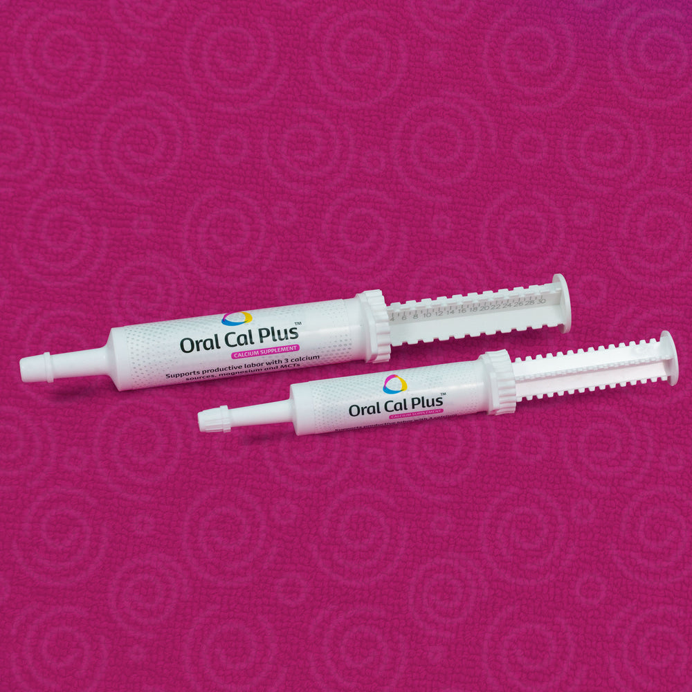 Gel oral Cal Plus de Breeder's Edge