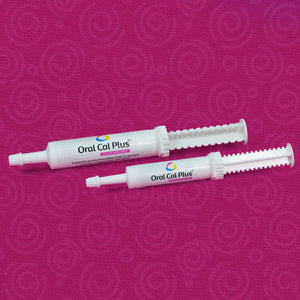 Breeder's Edge Oral Cal Plus Gel