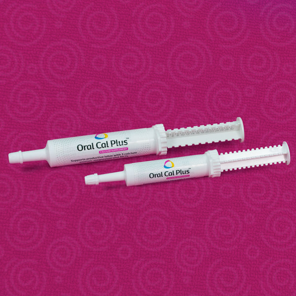 Breeder's Edge Oral Cal Plus Gel