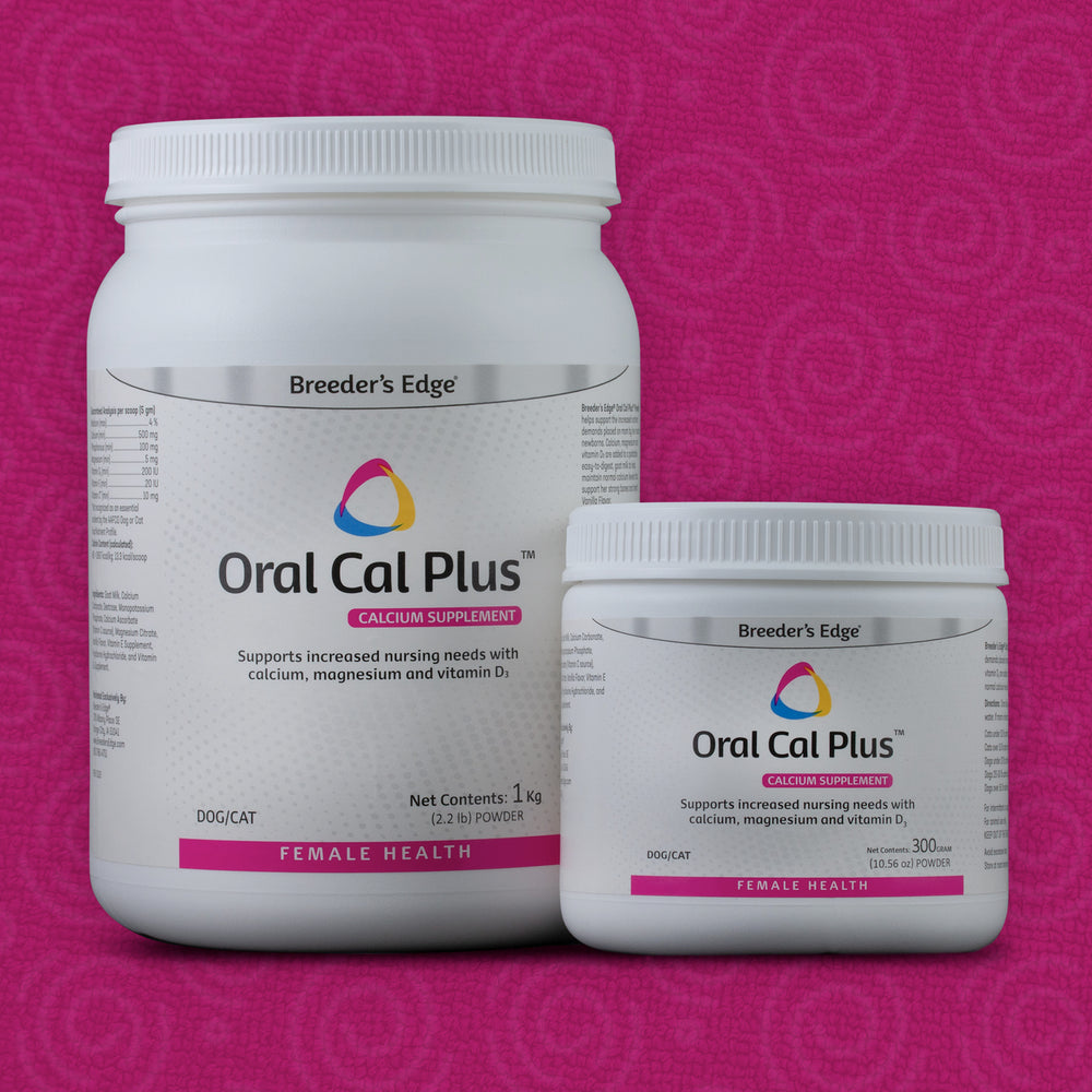 Poudre Oral Cal Plus Breeder's Edge