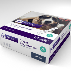 Lot de 10 comprimés quantitatifs rapides de progestérone pour chien Finecare Vet (cProg)