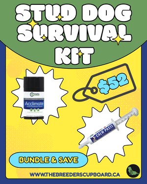 STUD DOG SURVIVAL BUNDLE