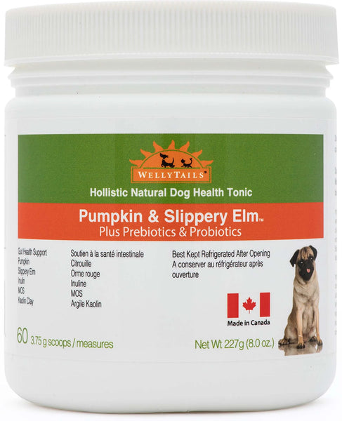 WellyTails Pumpkin & Slippery Elm with GUT Probiotics & Prebiotics