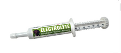 Dogzymes Canine Electrolyte Paste