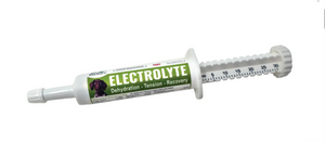 Dogzymes Canine Electrolyte Paste