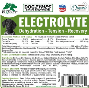 Dogzymes Canine Electrolyte Paste