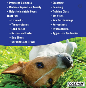 Dogzymes Calm Paste