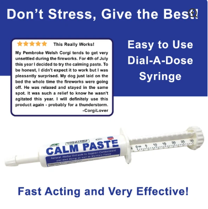 Dogzymes Calm Paste