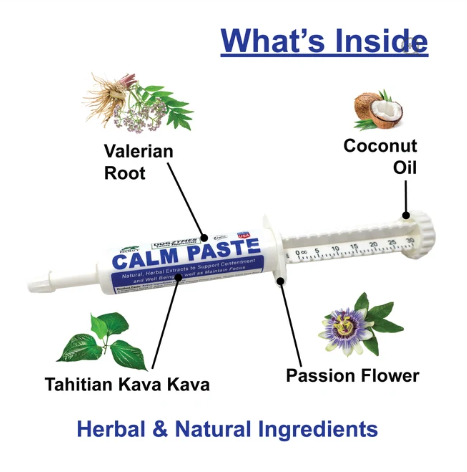 Dogzymes Calm Paste