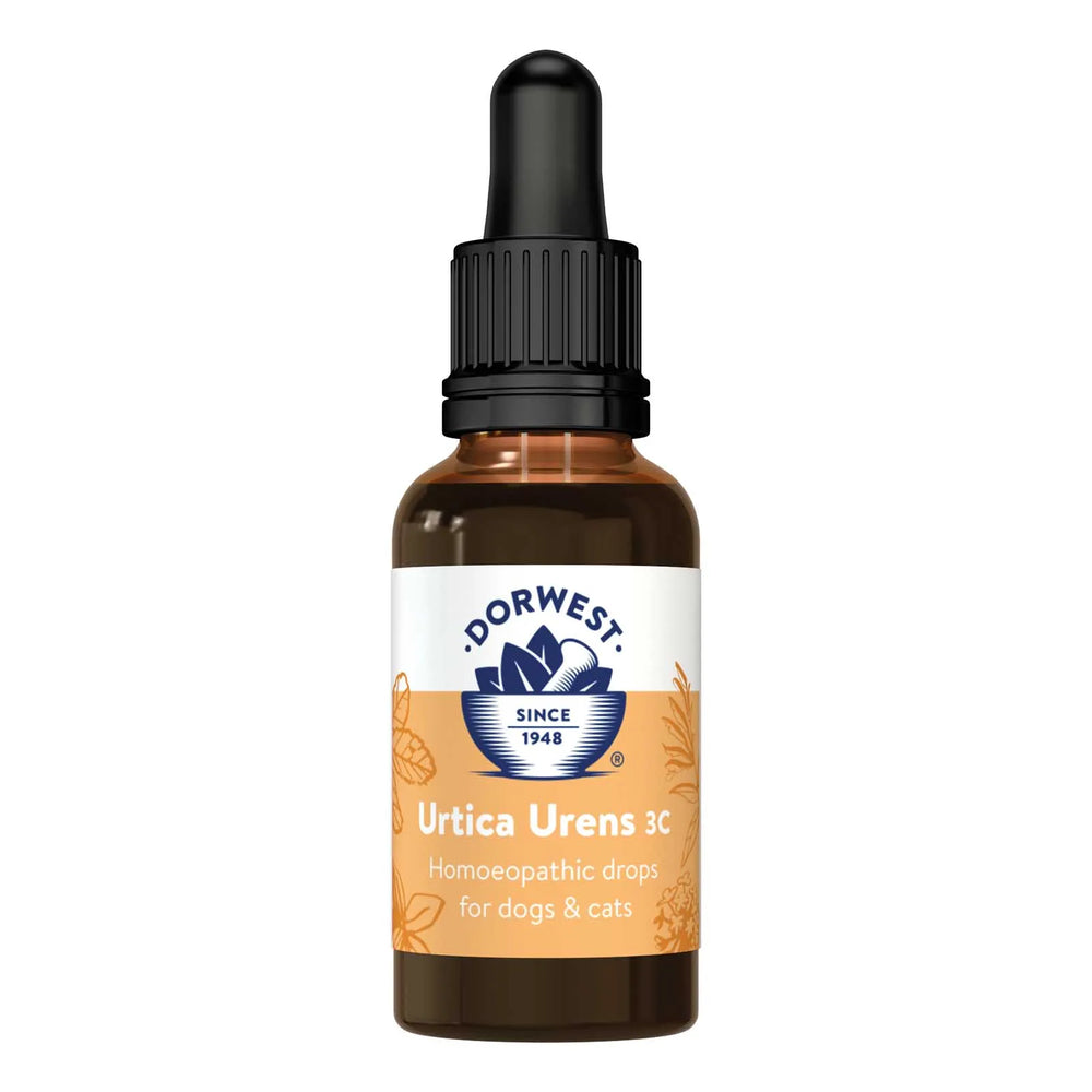 Dorwest Urtica Urens 3C