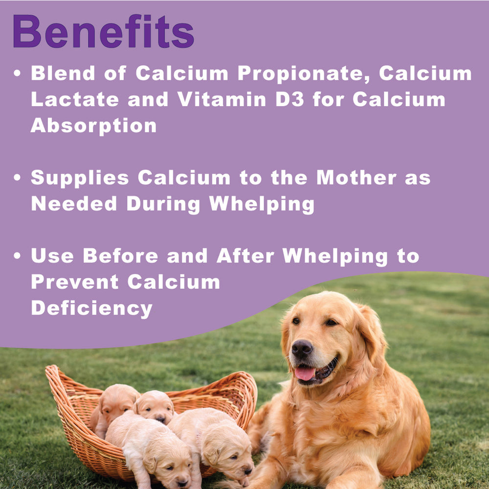 Pâte de calcium pour mise bas DogZymes
