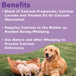 Pâte de calcium pour mise bas DogZymes