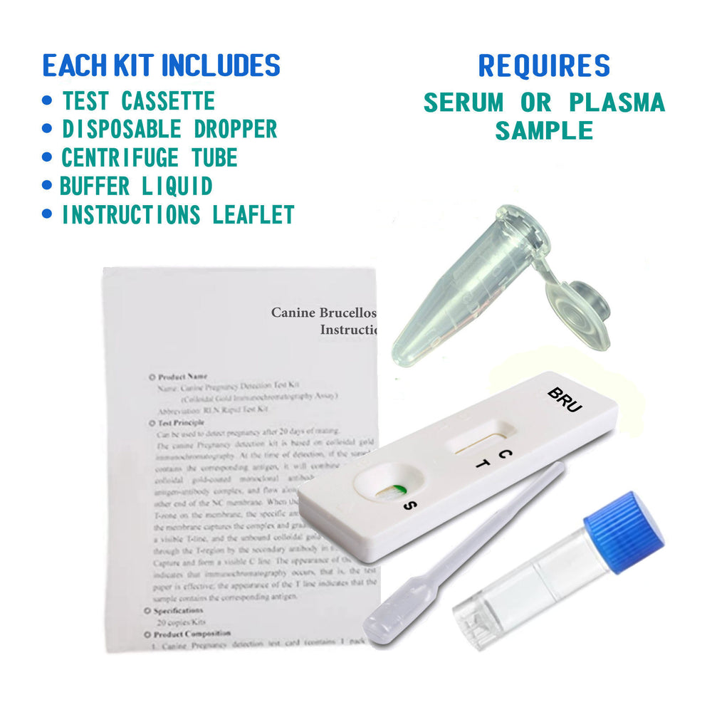 Kit de test de brucellose canine
