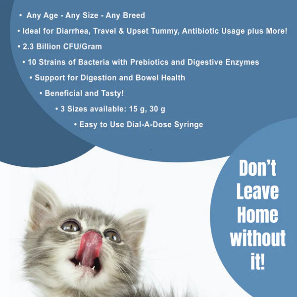 Catzymes Feline Probiotic Paste