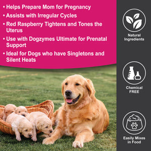 Dogzymes Estrumate pour chienne reproductrice Soutient la régularité du cycle et la planification positive de la gestation