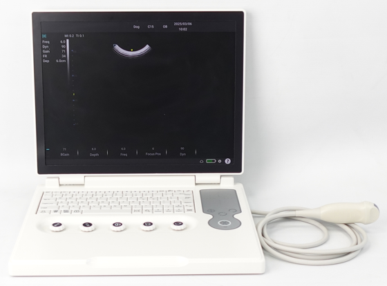SYSTÈME À ULTRASONS VIS SCAN X