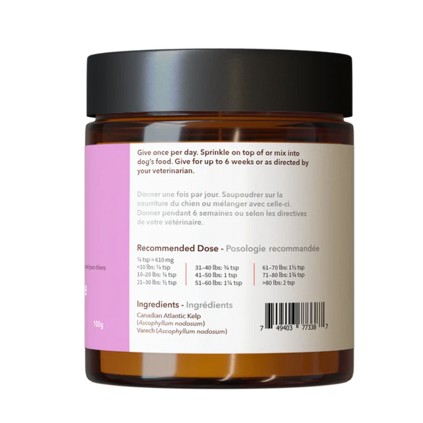 Atlantic Canada Kelp-North Hound Life 🍁