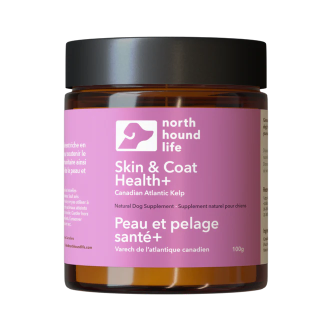 Atlantic Canada Kelp-North Hound Life 🍁