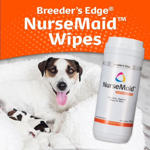 Breeder's Edge NurseMaid Wipes