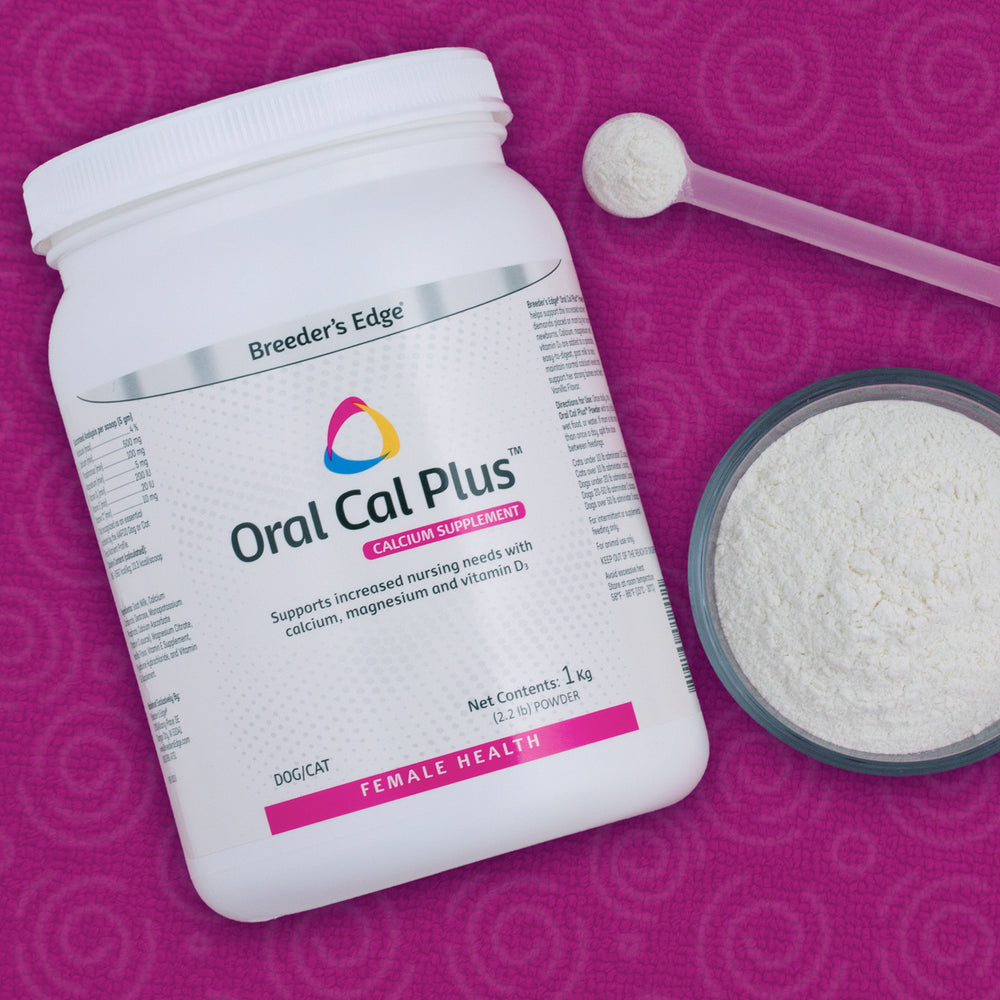 Poudre Oral Cal Plus Breeder's Edge