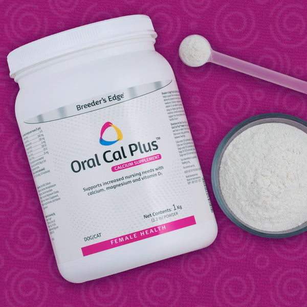 Poudre Oral Cal Plus Breeder's Edge