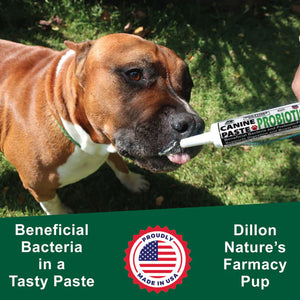 DogZymes Canine Probiotic Paste NOW IN 2 SIZES