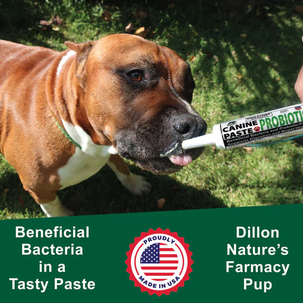 DogZymes Canine Probiotic Paste NOW IN 2 SIZES