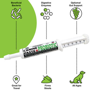 DogZymes Canine Probiotic Paste NOW IN 2 SIZES
